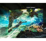 SAMSUNG QN85C 55 inch Smart 4K Ultra HD HDR Neo QLED TV (2023) - QE55QN85C