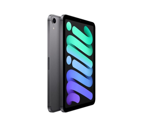 APPLE 8.3" iPad mini Cellular (2021) - 64 GB, Space Grey